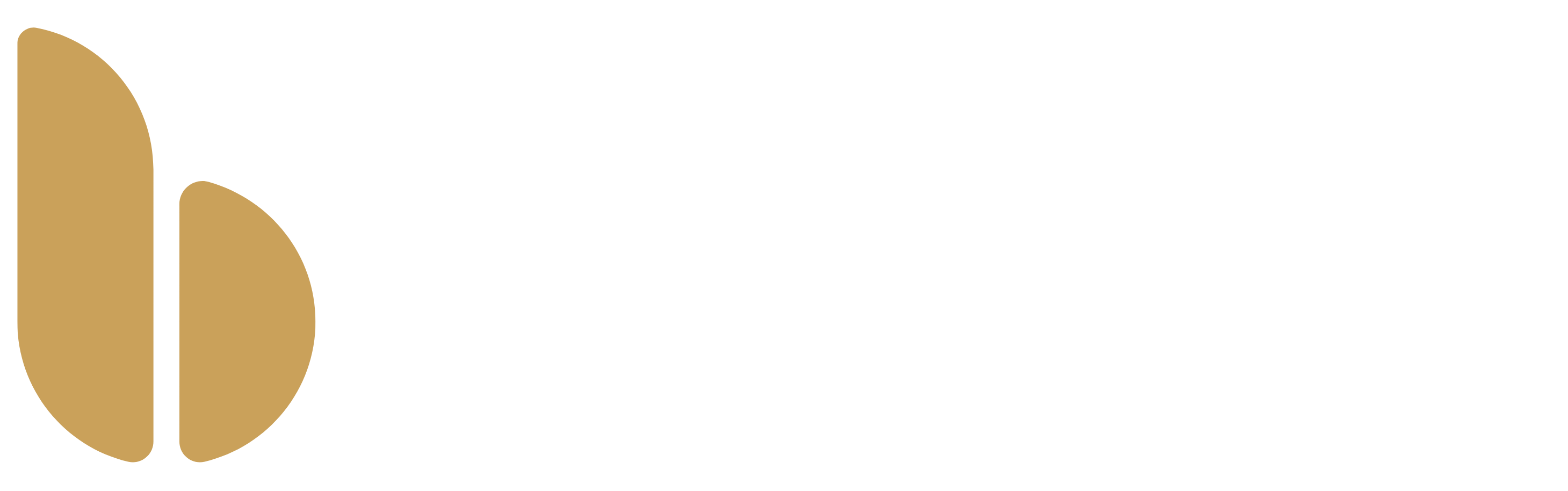 https://brandwunder.de/wp-content/uploads/2024/05/Brandwunder-Logo-hell.png