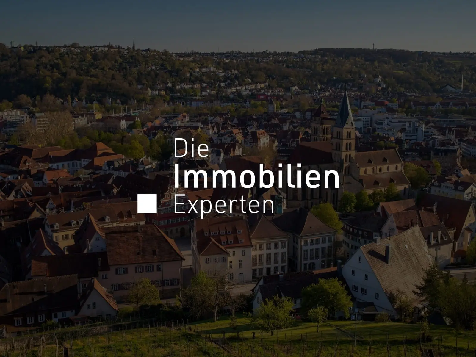 https://brandwunder.de/wp-content/uploads/2026/04/Portfolio-Die-Immobilien-Experten.webp